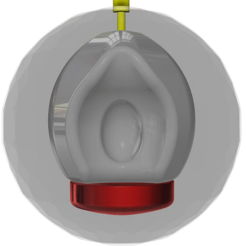 Alpha Crux