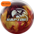 Raptor Pusuit